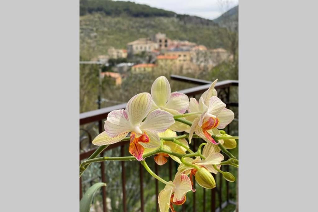 Apartmán Alloggio A Via Impero Lenola Exteriér fotografie